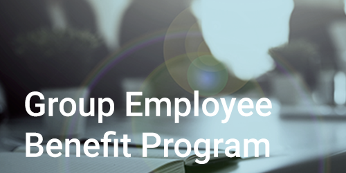 Picture of silhouetted people having a meeting with notebook on table, h1 title text: Group Employee Benefit Program